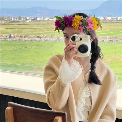 田凫封面