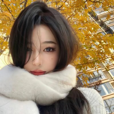 谎言的摇篮封面